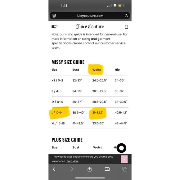 Juicy Couture Crown Heritage Cotton Velour Sweatpants Rhinestones Blue LARGE - Picture 12 of 12